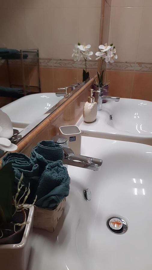 Apartment Rossalini With Free Parking *