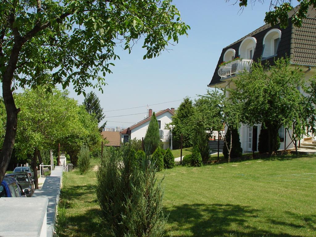 Menthol Budapest