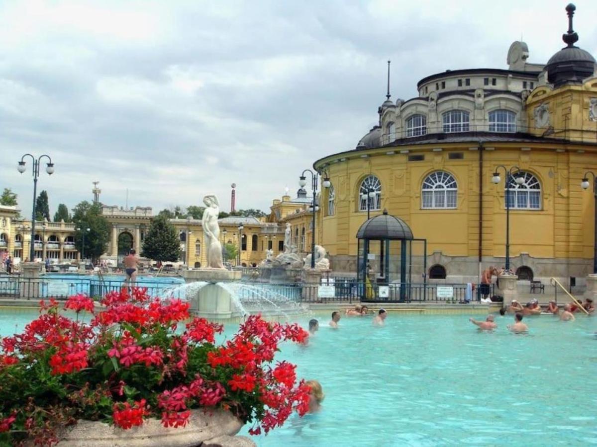 Trendy & Cozy At Heroes' Square Budapest