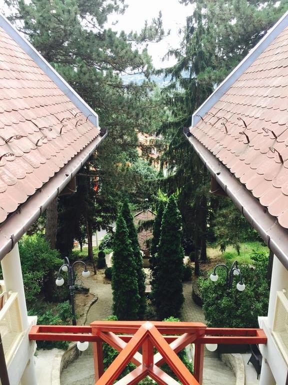 Vadvirag Panzio Guest house Budapest