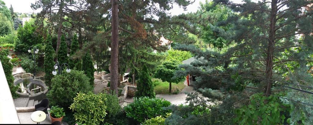Guest house Vadvirag Panzio