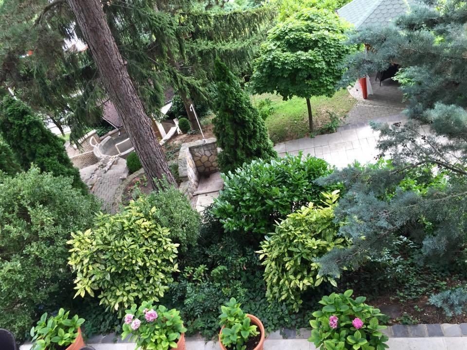 Vadvirag Panzio Guest house