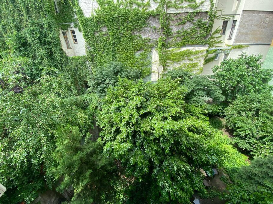 Appartement Raday Street, Spacious, Modern