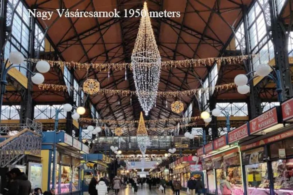 Center 5 Private For 19 People Rum i privatbostad Budapest