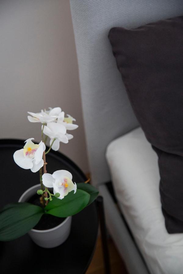 Downtown Cozy In The Gozsdu Garden Apartman *