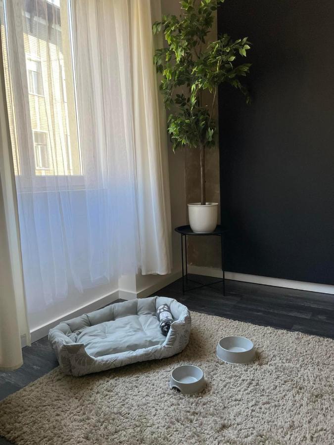 Spacious Almassy Apartamento Budapest