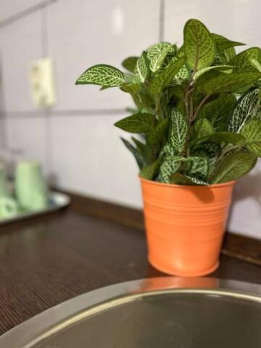 Appartement A14 Parliament Sunflower Cozy Budapest