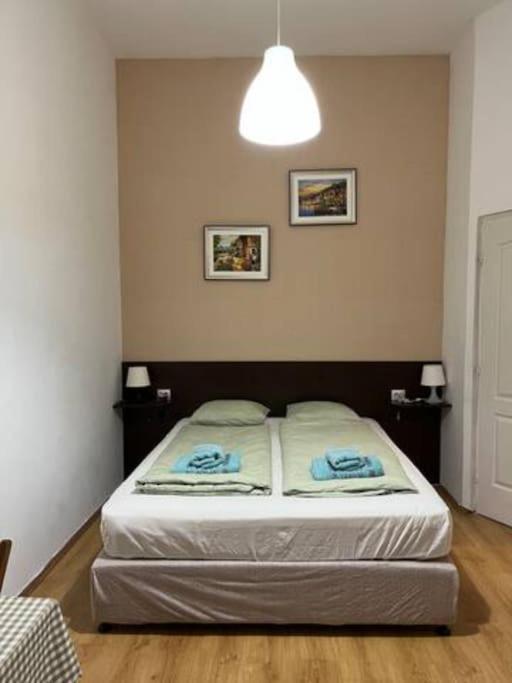 A13 Parliament Sunflower Cozy * Budapest