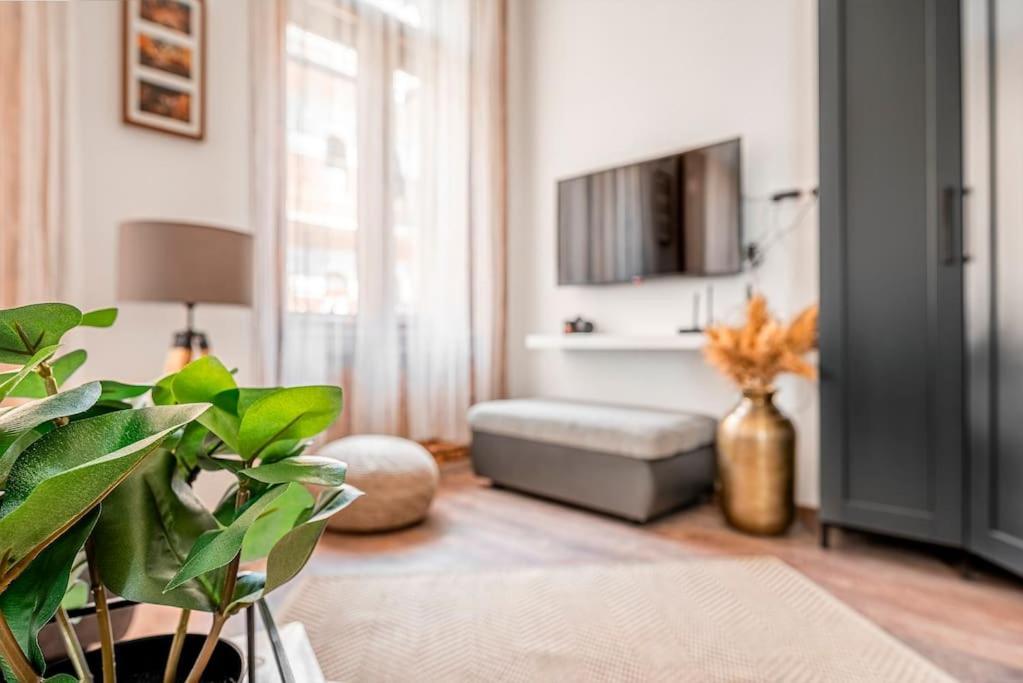 Apartment Brendon Design *