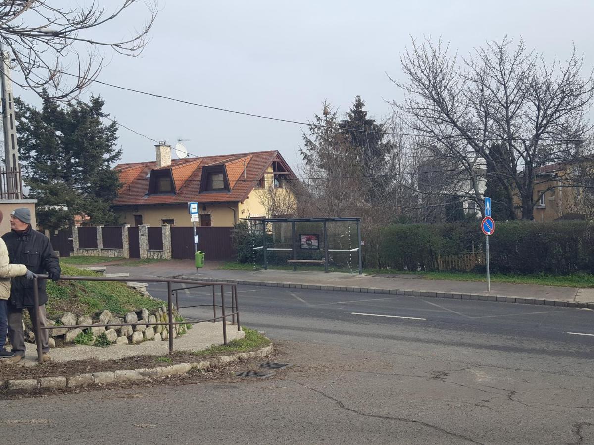 Szamosvilla - Bbq, 8bdrm, Very Close To Center Appartamento