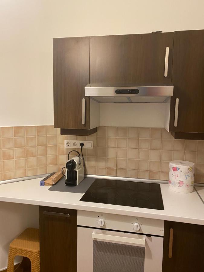 Blue Danube Downtown With Free Parking Apartment