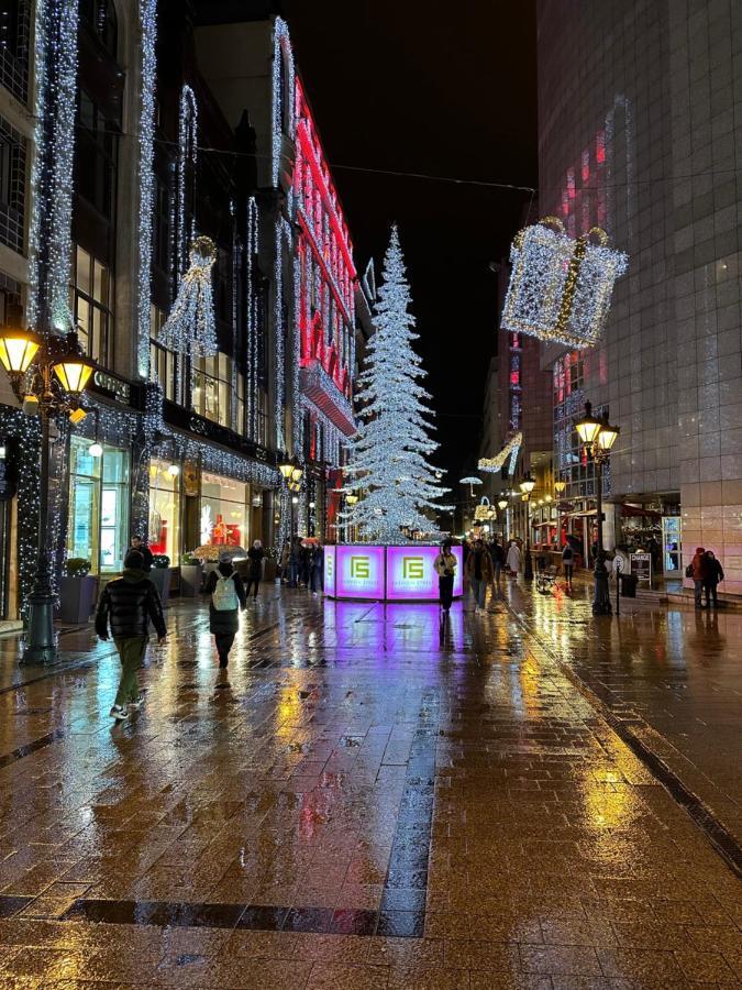 Center Vandrarhem *