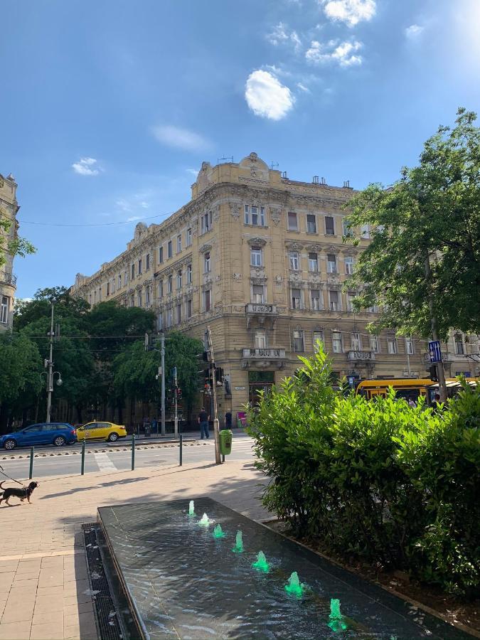 Rainforest By The Danube Budapest