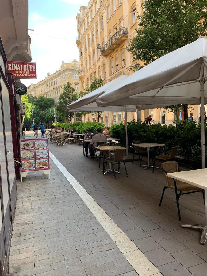 Rainforest By The Danube Apartment Budapest