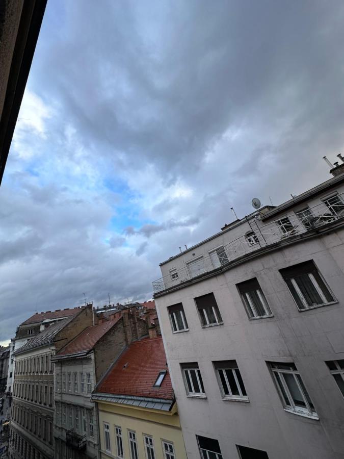 Panorama With Danube View *