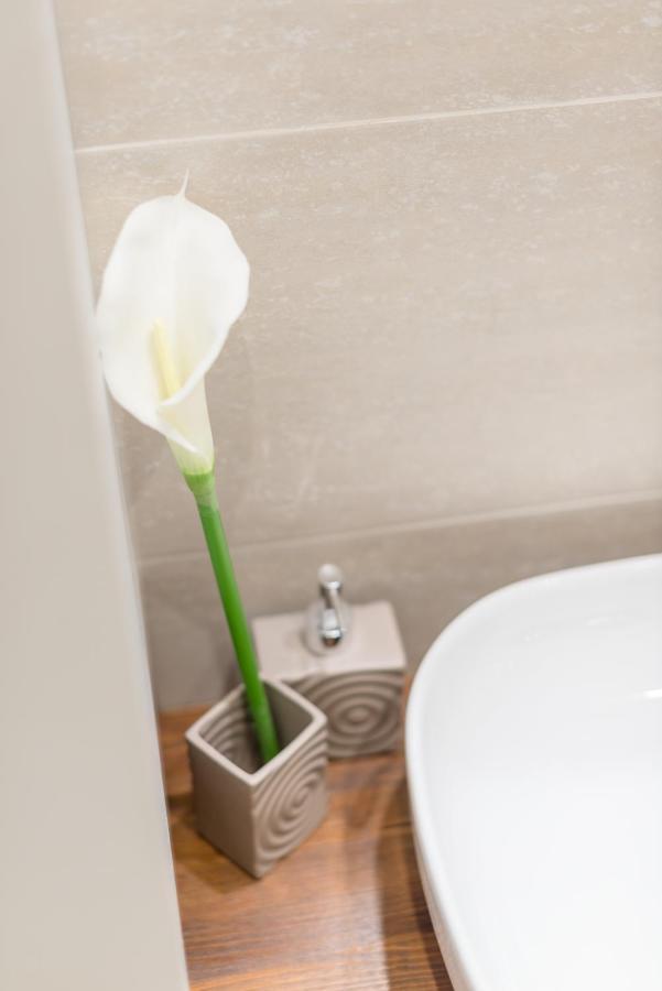 Downtown Heart 3 Bdr, 2 Bath, A/c Apartamento *