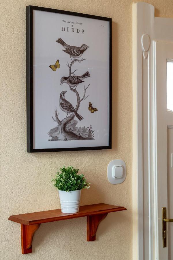 Appartement Deluxe Dream In The Center *