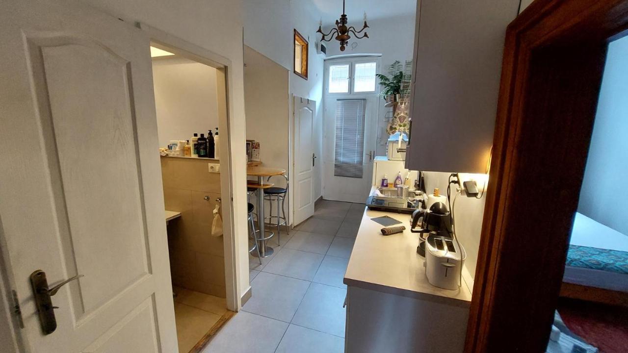 Classical In The Old Pest Appartement