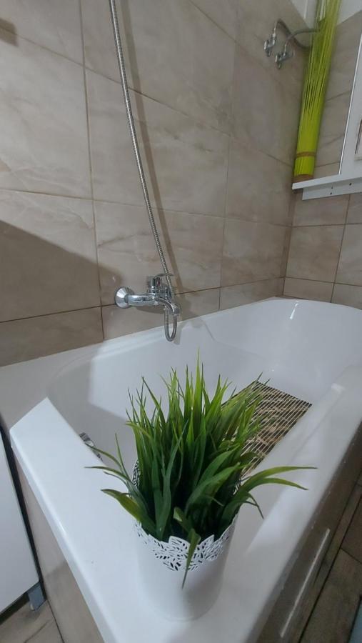 Apartamento Gecko Centrum *