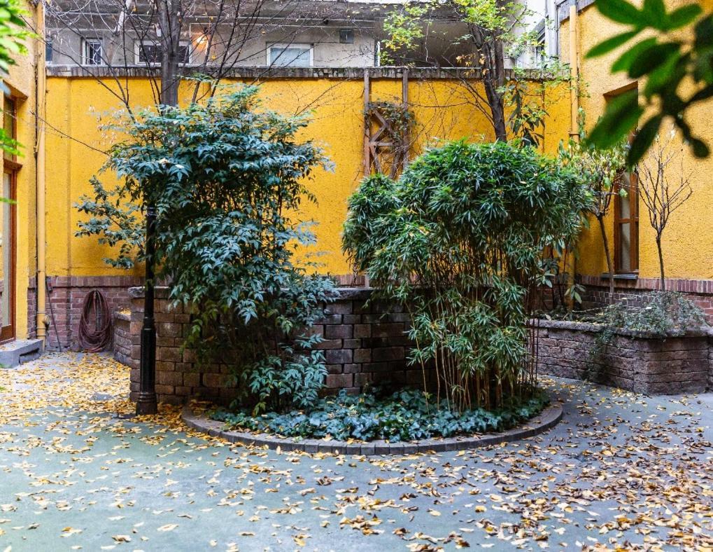 Appartement Hidden Gem In Buda *
