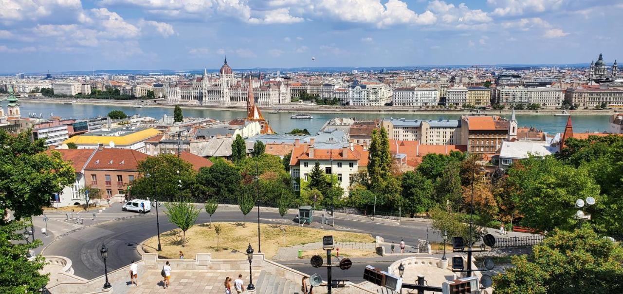 Dn Blue * Budapest
