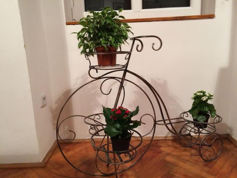 Apartament Quiet At Synagogue *