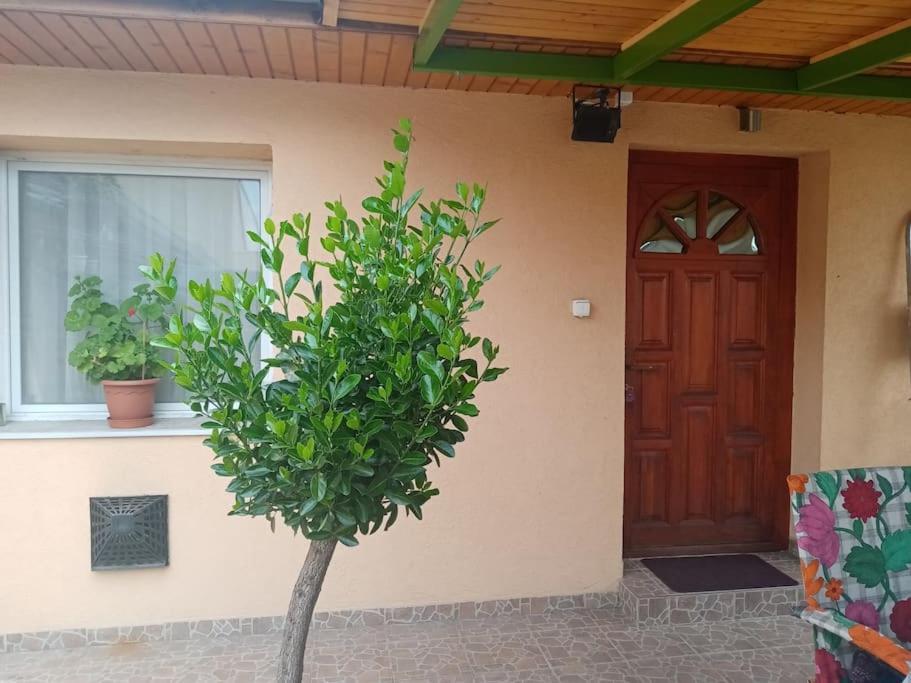 D38 Pestelizabeth Apartman
