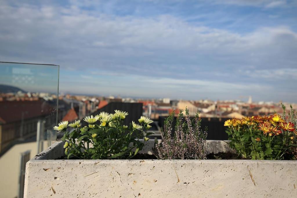 Appartamento 360 Panorama • Rooftop Jacuzzi • Downtown Luxury *