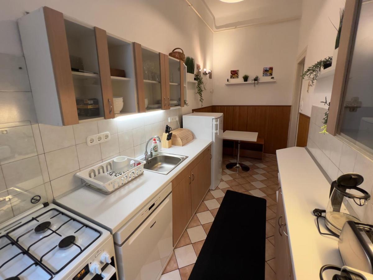 Apartment In The Pedestrial Area Budapest