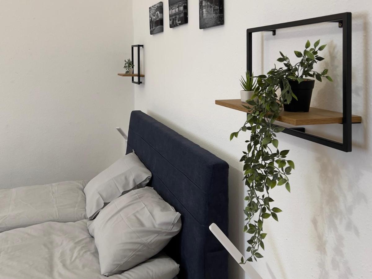 In The Pedestrial Area Apartamento *