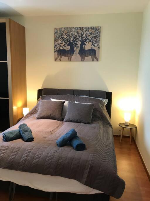 Arena Apartament *