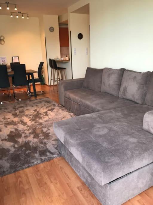 Apartament Arena *