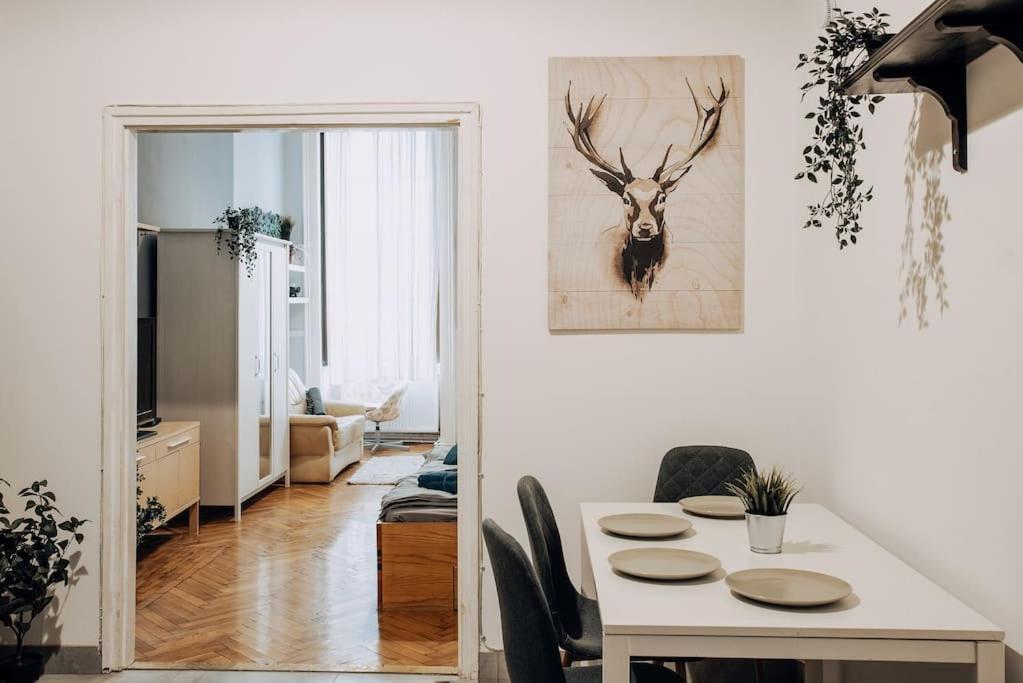 Apartment Big In The Centre Budapest