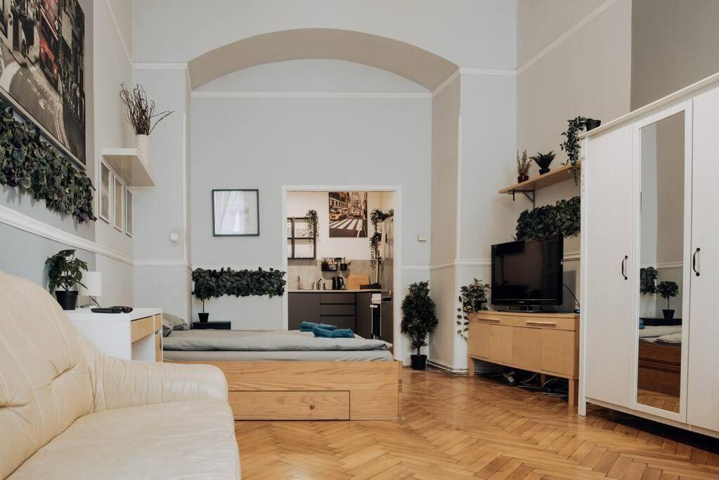 Apartment Big In The Centre