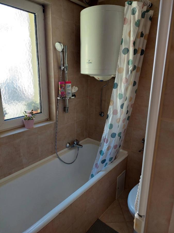 Guest house Dizike Pet-friendly *