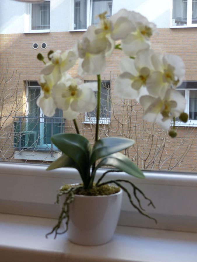 Avanti Apartment *