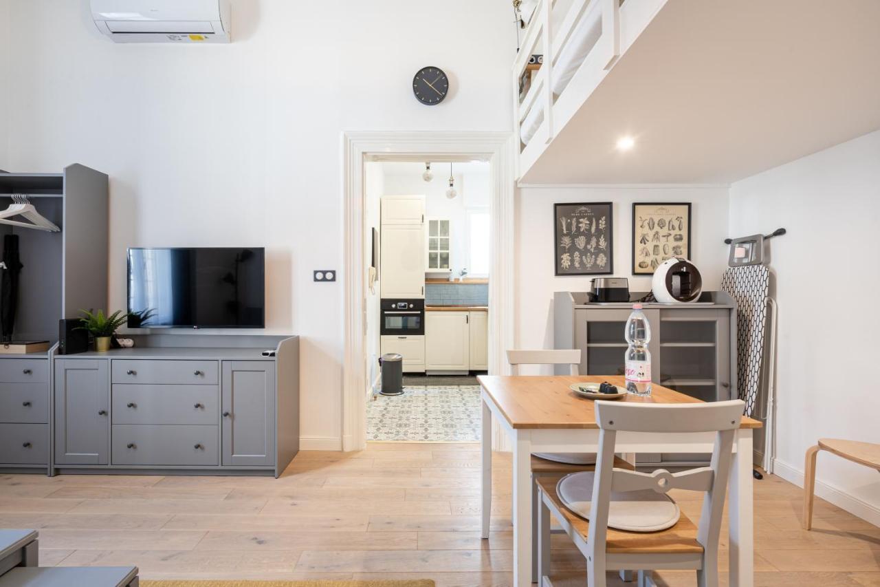 Youth Motive With Gallery Apartment