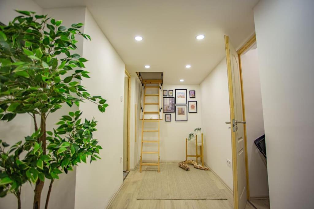 Apartamento Cosy Two Bedroom Flat In Josika Street, Paprika *