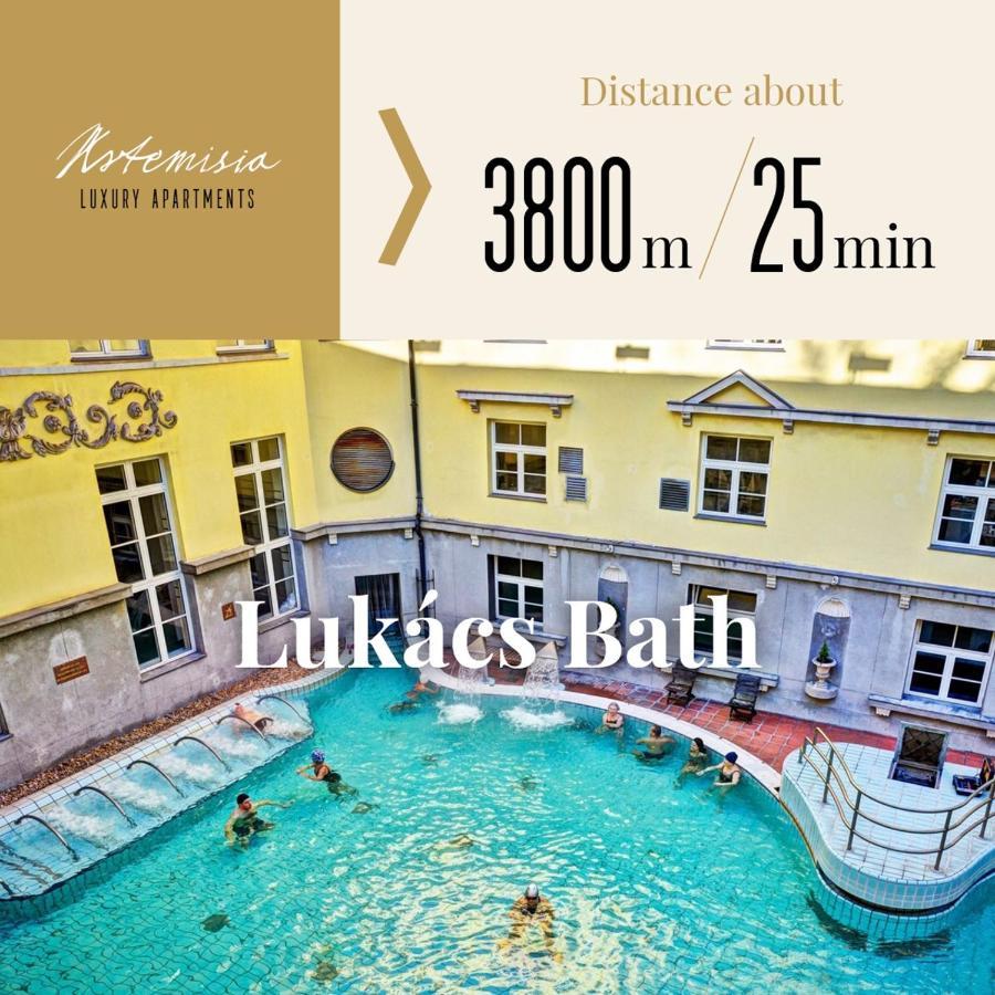 Artemisia Luxury Penthouse Apartamento Budapest