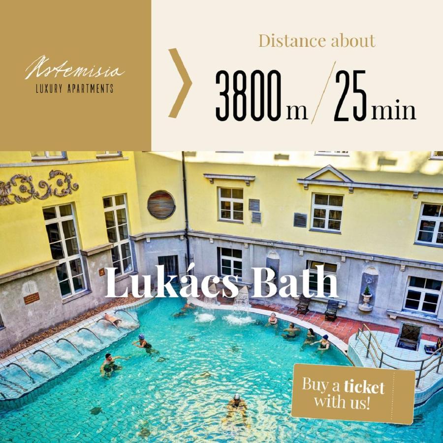Artemisia Luxury Terrace *