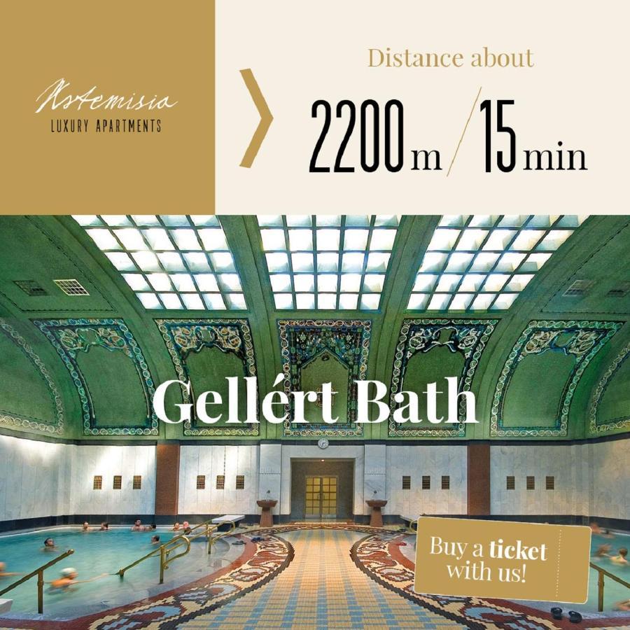 Appartement Artemisia Luxury Terrace Boedapest