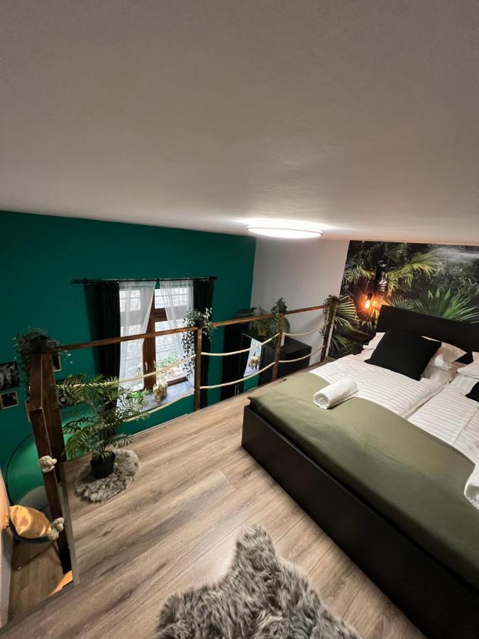 Jungle Apartment