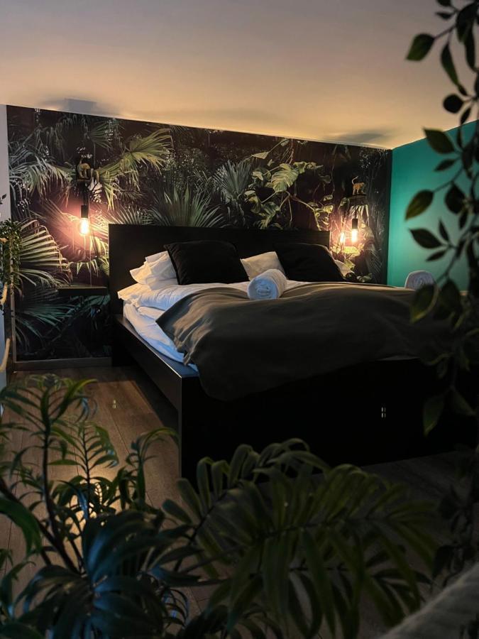 Jungle Apartment *