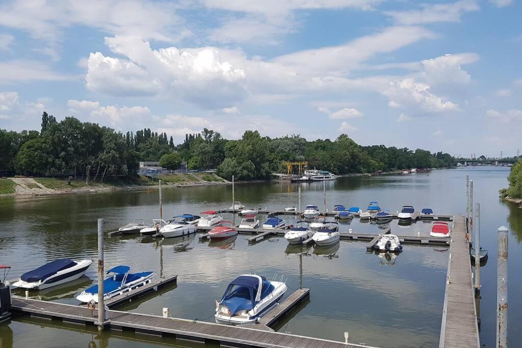 Danube Dream Superb View & Garage * Budapešť