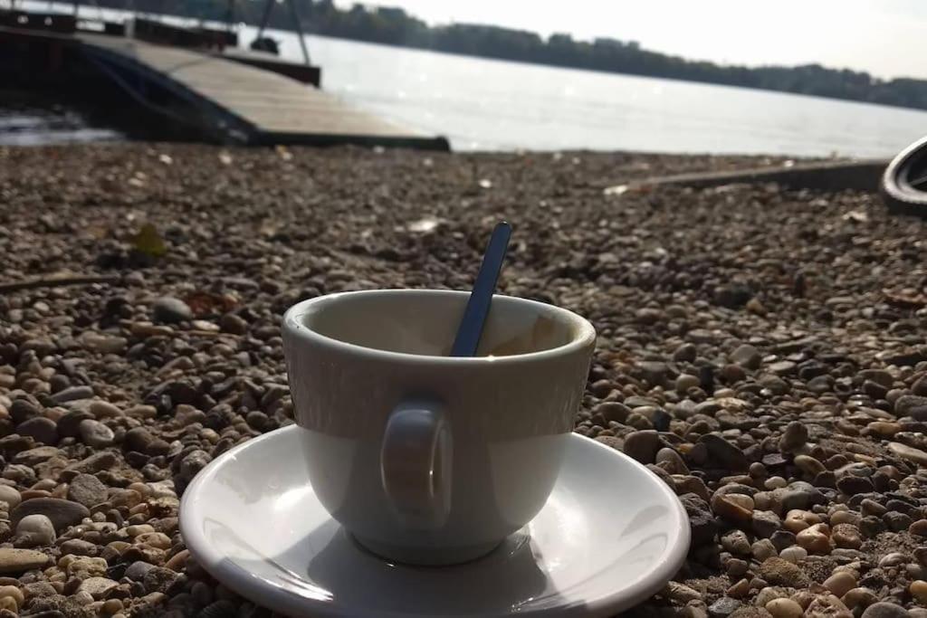 Next To The River