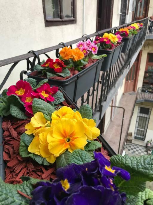 Perfect Location,newly Decorated Modern, Large Place 60 M2, Really Quiet So Have A Good Night Sleep, Ac, Netflix, Smart Tv, High-speed Internet, World Famous New York Cafe Only 10 Minutes Walk * Budapest