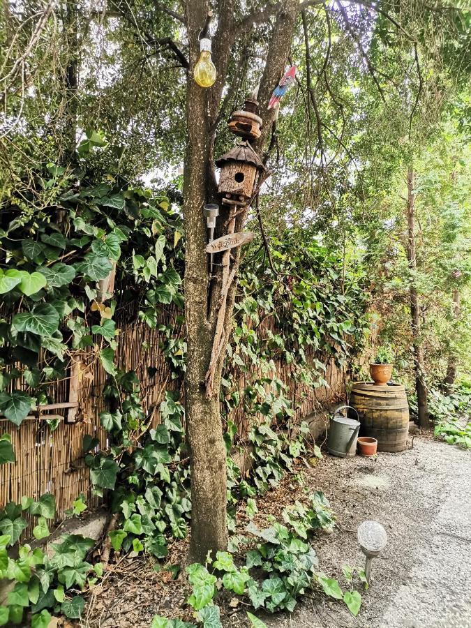 Apartment Flat In Historic With Your Own Private Garden, Near City Park Budapest