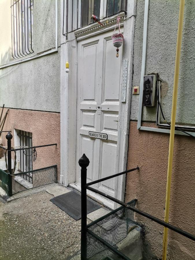Apartment Flat In Historic With Your Own Private Garden, Near City Park *