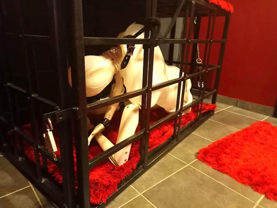 Bdsm Appartamento *