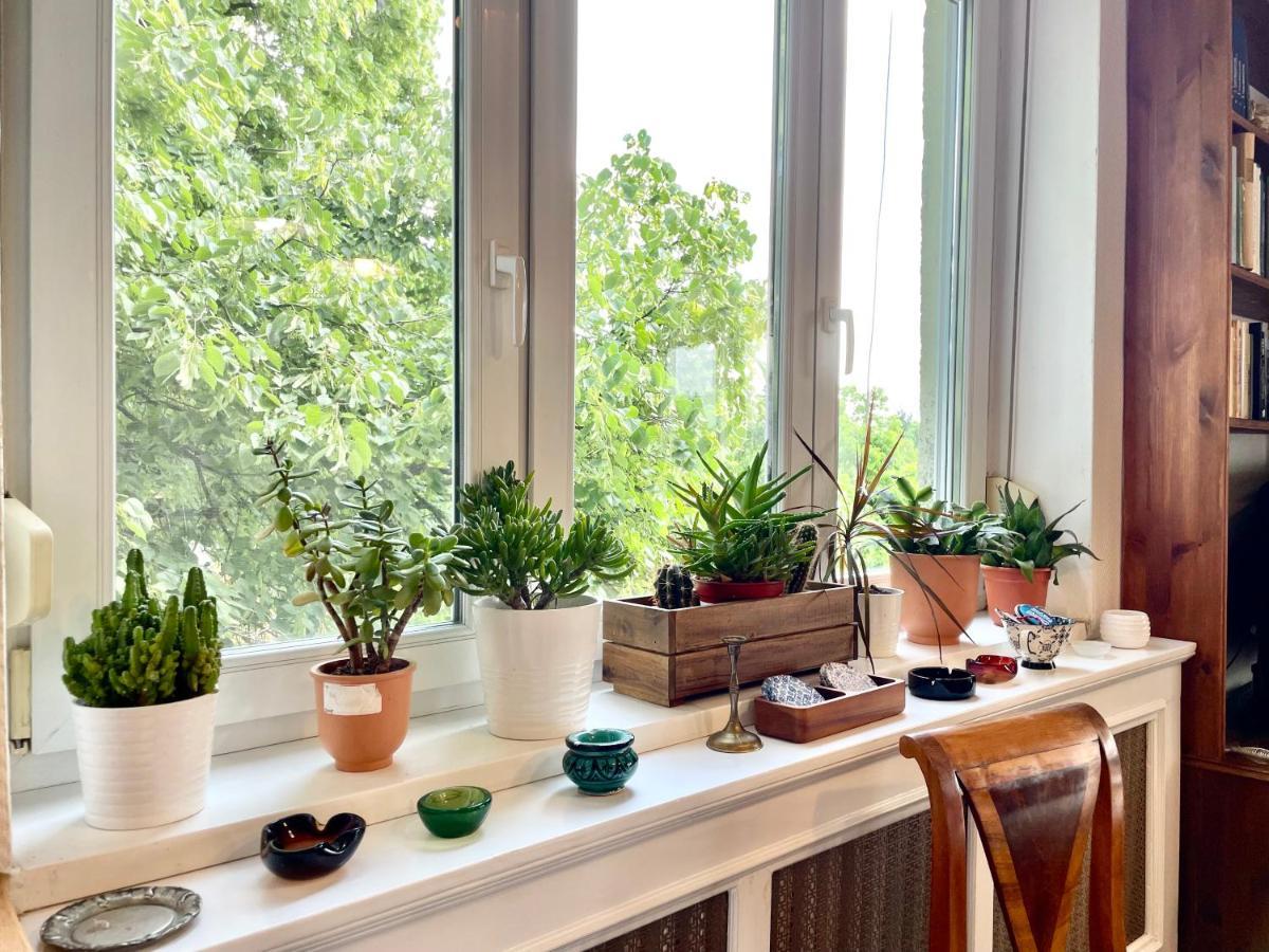 With Terrace Overlooking The Park *